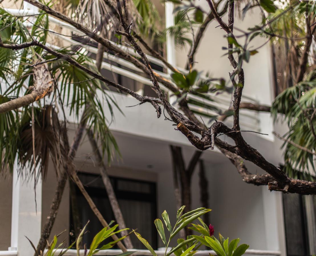 Casa Ambar Hotel & Boutique Tulum (Adults Only) Bagian luar foto